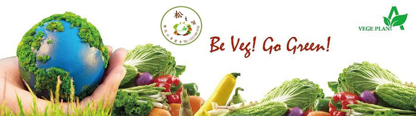 Song’s Taste Vegetarian Food Sale